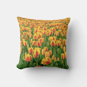 Spring tulips bloom in front of old barn. cushion