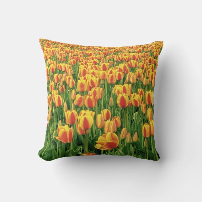 Spring tulips bloom in front of old barn. cushion (Front)