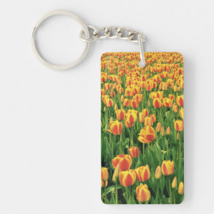 Spring tulips bloom in front of old barn. key ring