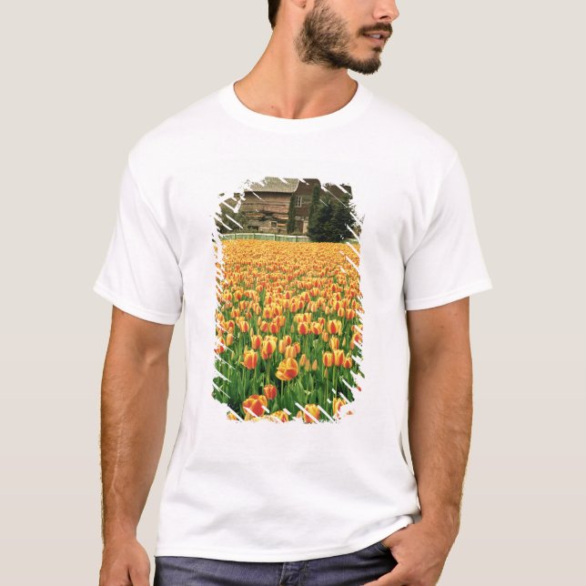 Spring tulips bloom in front of old barn. T-Shirt (Front)
