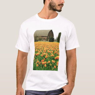 Spring tulips bloom in front of old barn. T-Shirt