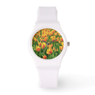 Spring tulips bloom in front of old barn. watch