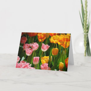 Spring Tulips Card