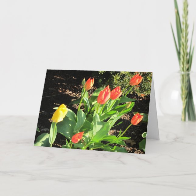 Spring Tulips Card (Front)