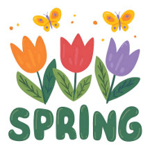 Spring Tulips 