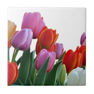 Spring Tulips Ceramic Tile