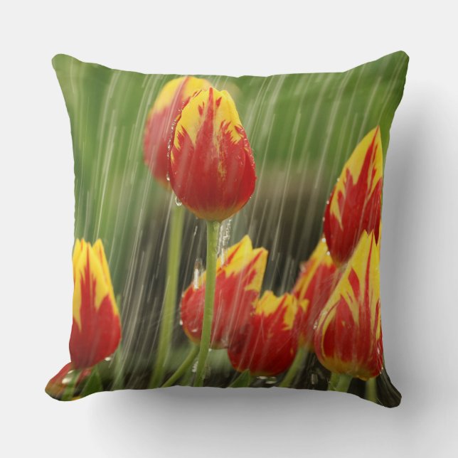 Spring Tulips Cushion (Front)