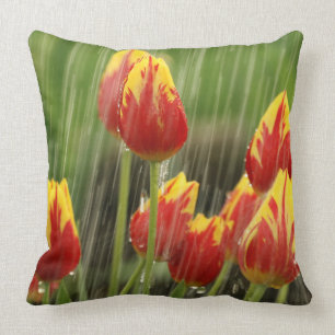 Spring Tulips Cushion