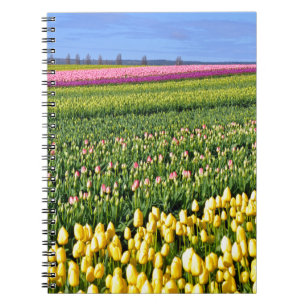 Spring tulips field notebook