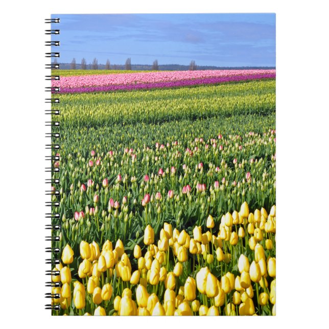 Spring tulips field notebook (Front)