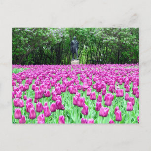 Spring Tulips in the English Garden's Postcard