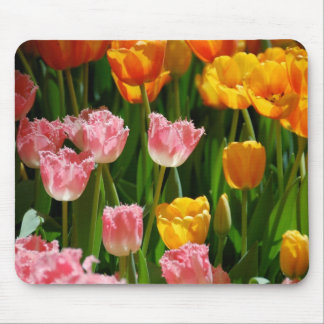 Spring Tulips Mousepad
