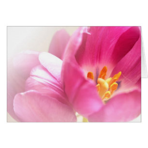 Spring Tulips Note Card