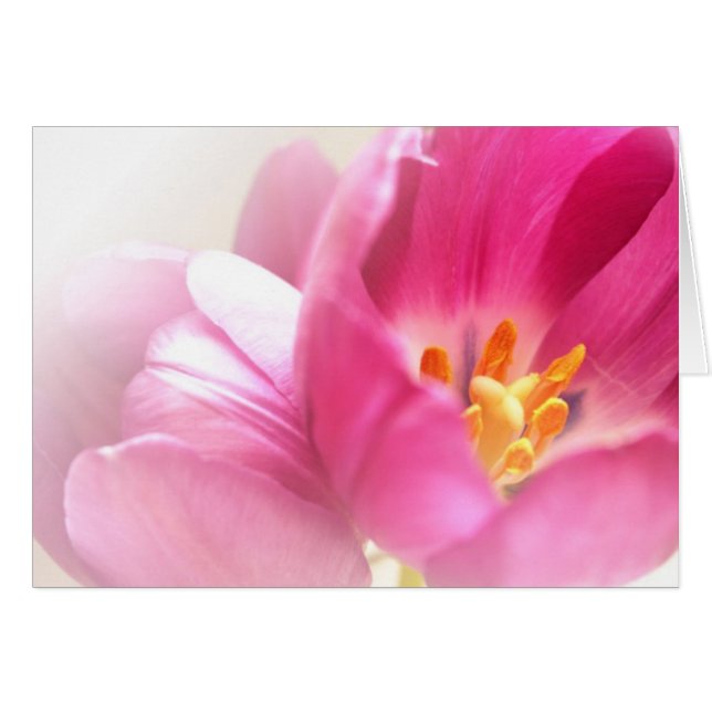 Spring Tulips Note Card (Front Horizontal)