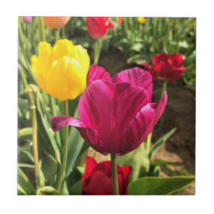 Spring Tulips, Oregon Ceramic Tile