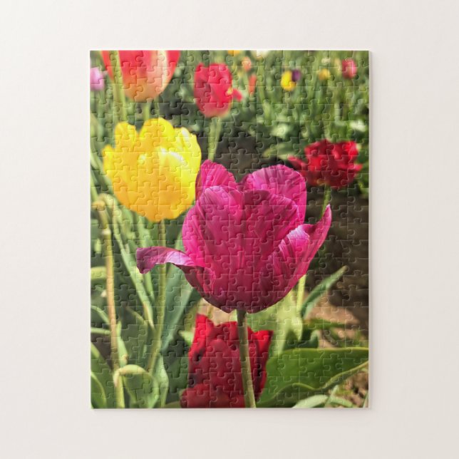 Spring Tulips, Oregon Jigsaw Puzzle (Vertical)