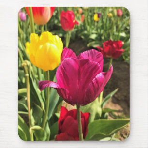Spring Tulips, Oregon Mouse Pad