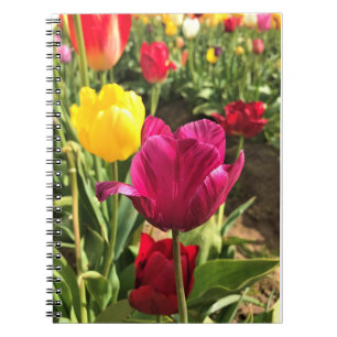 Spring Tulips, Oregon Notebook
