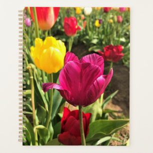 Spring Tulips, Oregon Planner