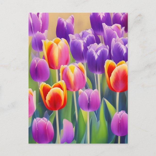 Spring Tulips Postcard (Front)