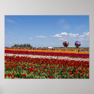 Spring Tulips Poster Paper (Matte)