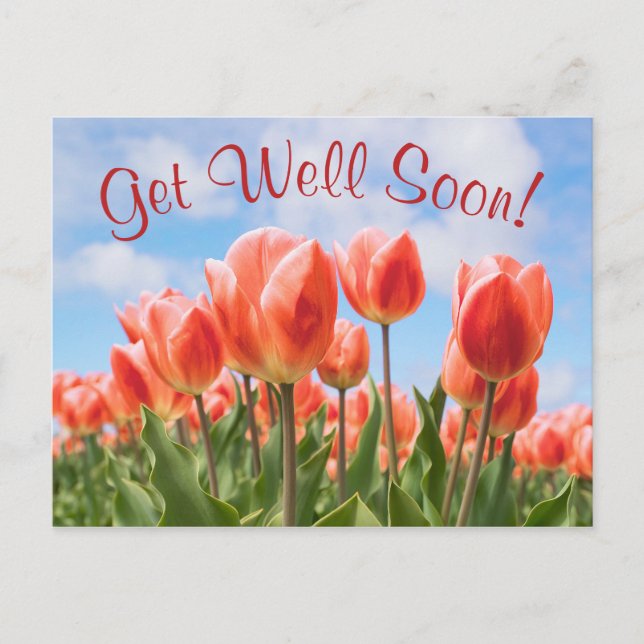 Spring Tulips Sunny Get Well Soon Postcard (Front)