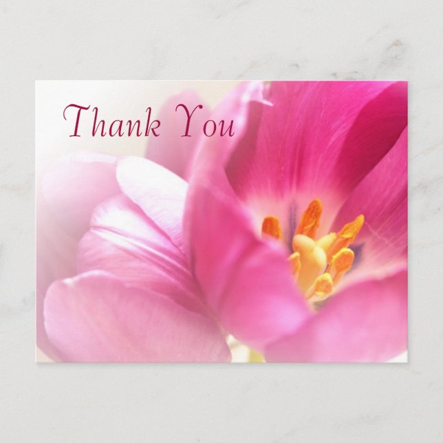 Spring Tulips Thank You Postcard (Front)