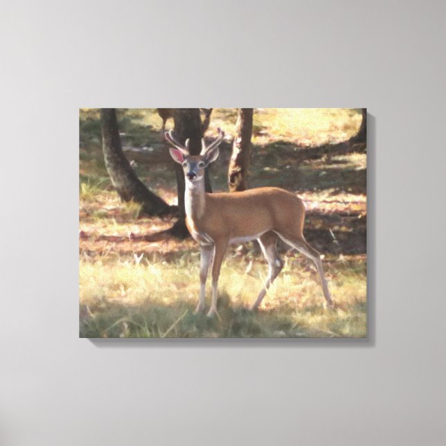 Spring Velvet canvas Print (Front)