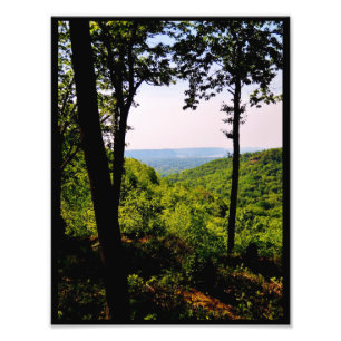 Spring View Photo Print
