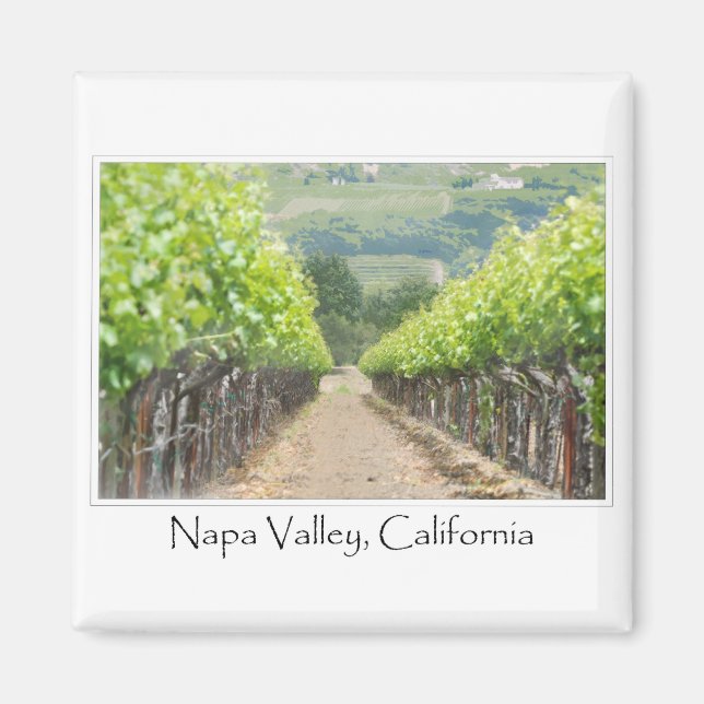 Spring Vineyard in Napa Valley California Magnet (Front)