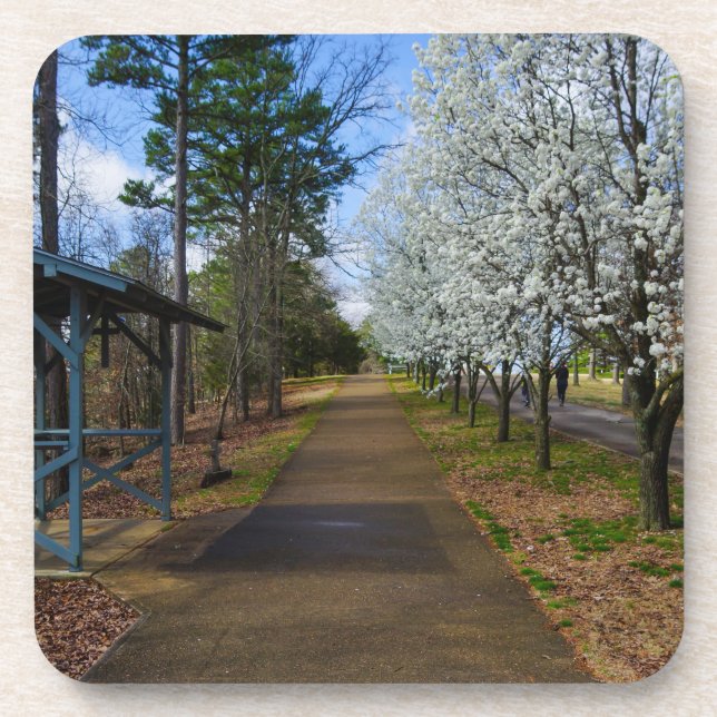 Spring Walk Coaster (Front)