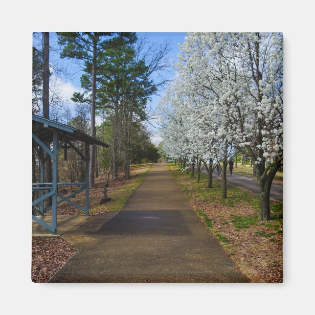 Spring Walk Magnet (Front)