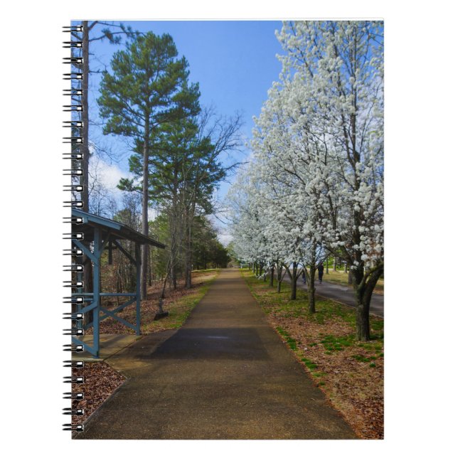 Spring Walk Notebook (Front)