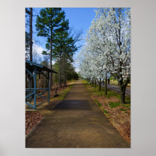 Spring Walk Poster