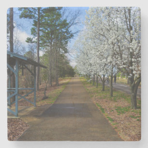 Spring Walk Stone Coaster