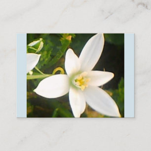 Spring White Bloom Business Card