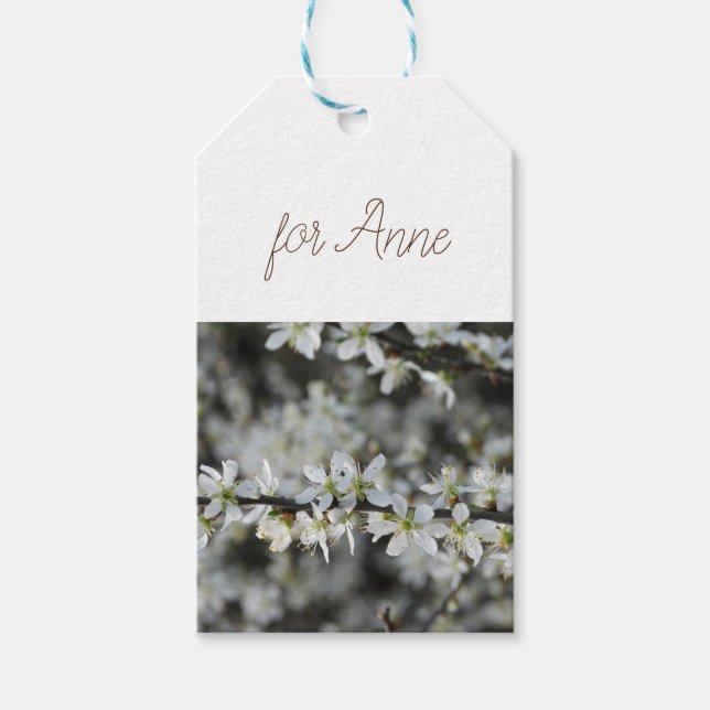 Spring,White Blossoms Photo Gift Tags (Front)