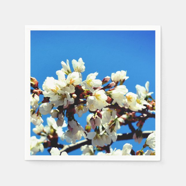 Spring white cherry Blossoms, white flowering tree Napkin (Front)