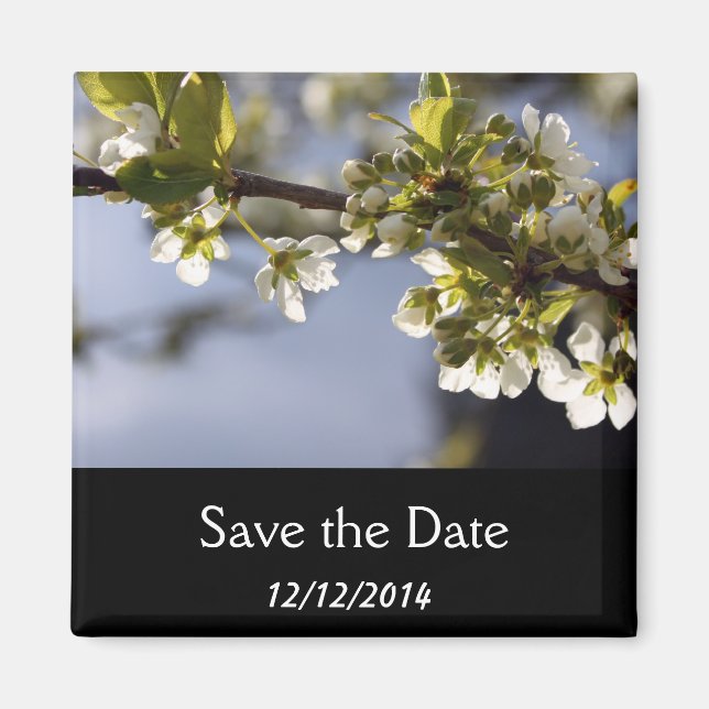 spring white cherry flowering branch magnet (Front)
