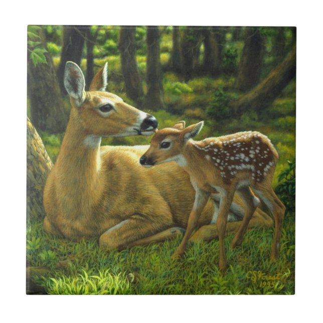 Spring Whitetail Fawn and Mother Deer Ceramic Tile (Front)