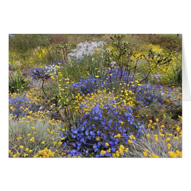 Spring wildflowers Card (Front Horizontal)