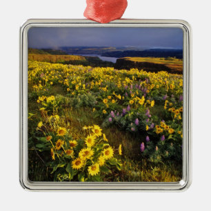 Spring wildflowers in abundance at the Tom Metal Ornament