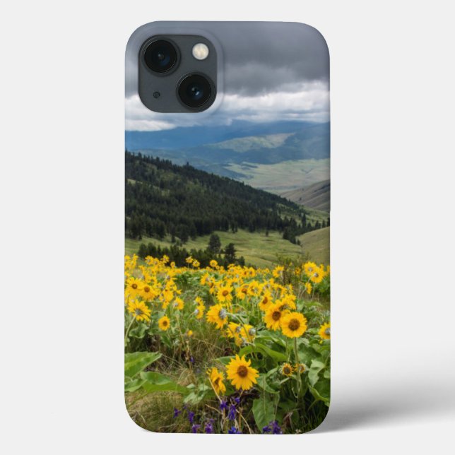Spring Wildflowers In The Hills Case-Mate iPhone Case (Back)