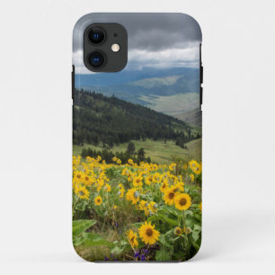 Spring Wildflowers In The Hills iPhone 11 Case