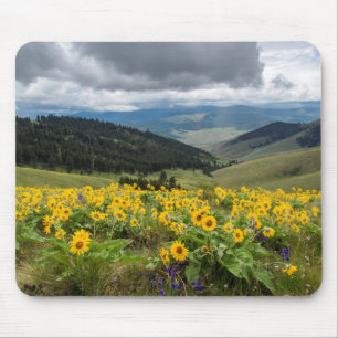Spring Wildflowers In The Hills Mouse Pad
