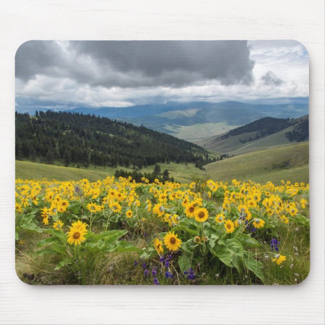 Spring Wildflowers In The Hills Mouse Pad (Front)