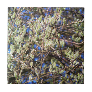 SPRING WILLOW CERAMIC TILE