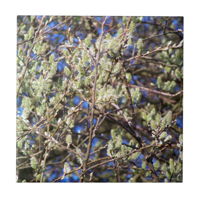 SPRING WILLOW CERAMIC TILE (Front)