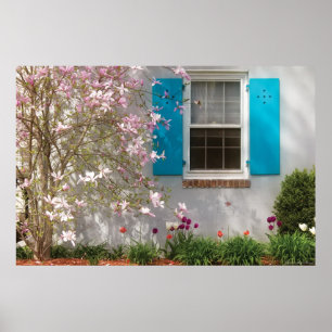 Spring Window Poster