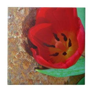 Spring yellow and Red Tulip Ceramic Tile